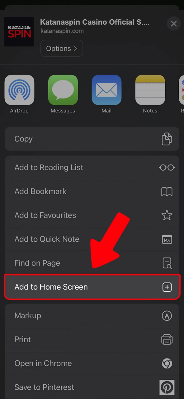 Select adding the Katanaspin app to your home screen.