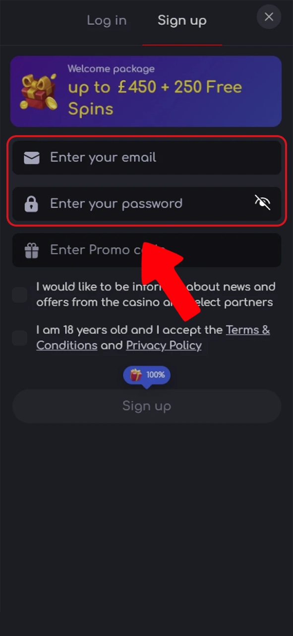 Enter the information that will be used to log in to your Katanaspin account.